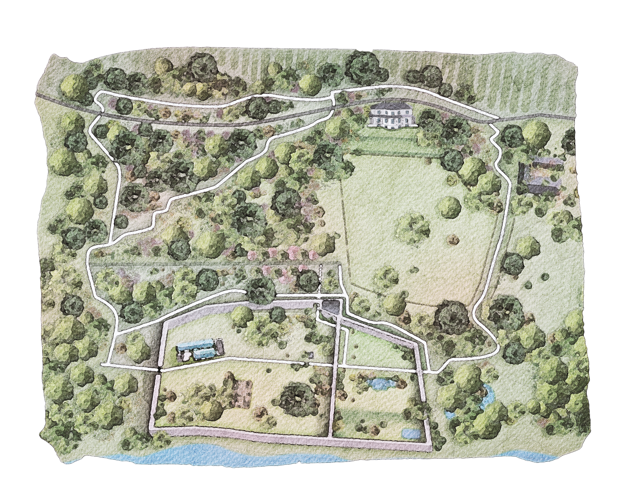 Watercolour map of Brook Hall arboretum
